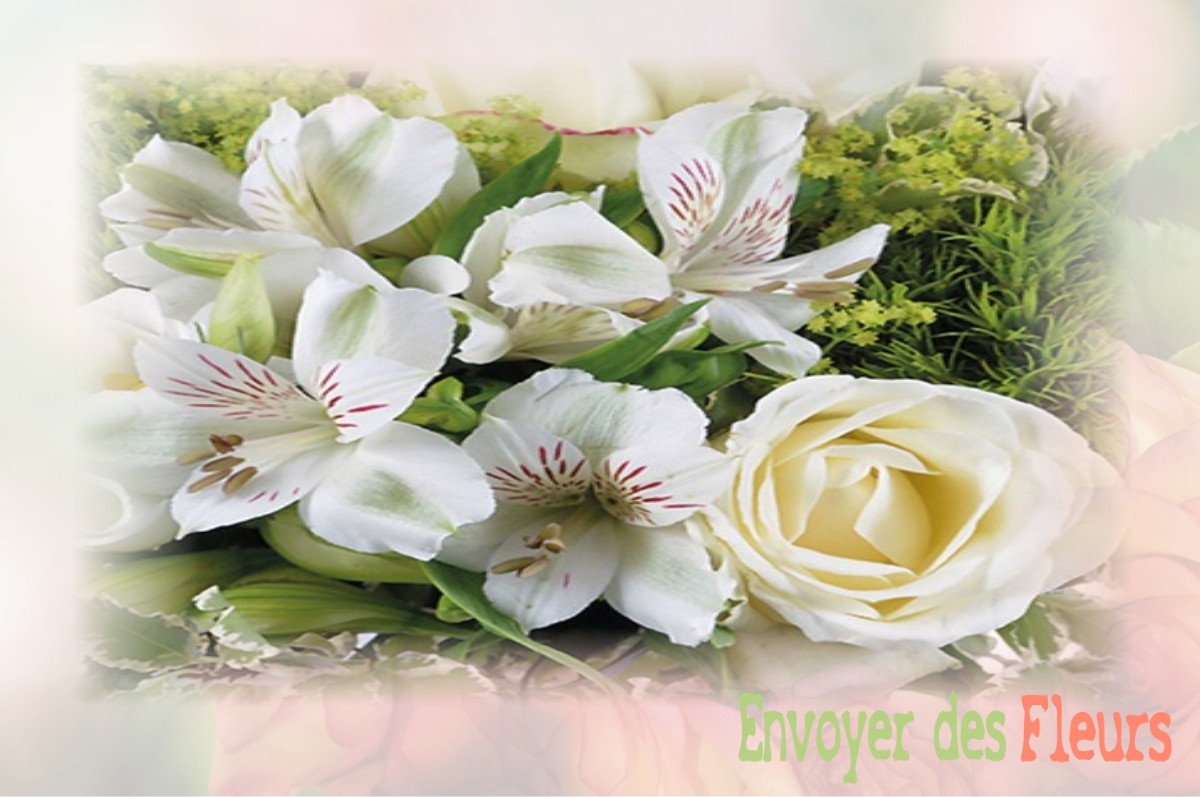 envoyer des fleurs à à VILLIERS-SAINT-DENIS